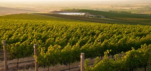 Walla Walla Valley AVA Story