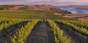 Washington State