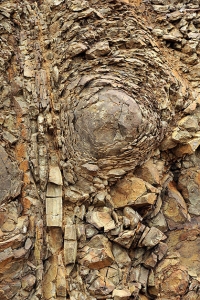 exposed fractured basalt wall that underlies our Estate Ferguson Vineyard