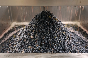 Crushing and destemming fruit